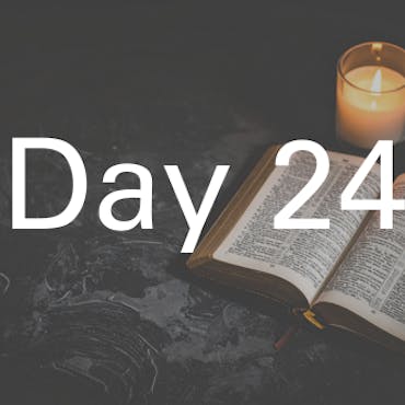 ADVENT calendar card 24