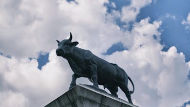 Minku kang sqf Raj ZD5 I unsplash