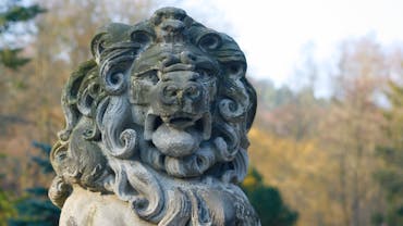 Wild spirit 61 B Yr Ull Wh U unsplash